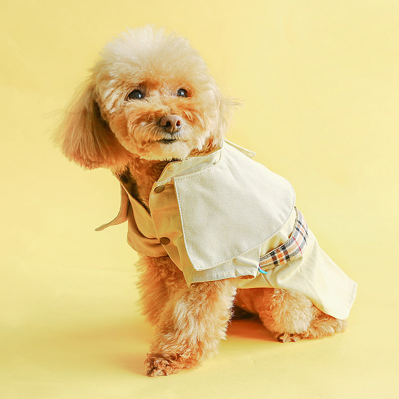 Spring Dog Coat - Cute Windbreaker for Small Breeds