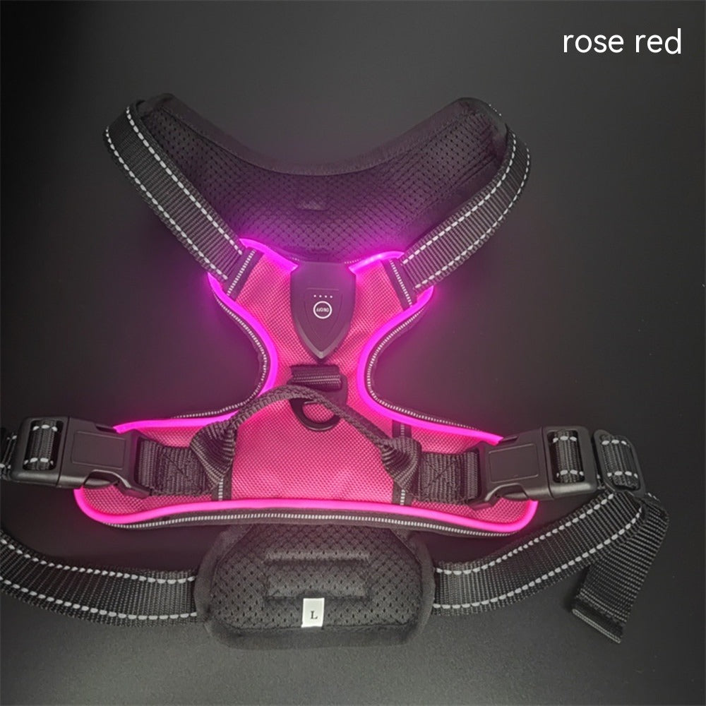 Luminous Dog Vest