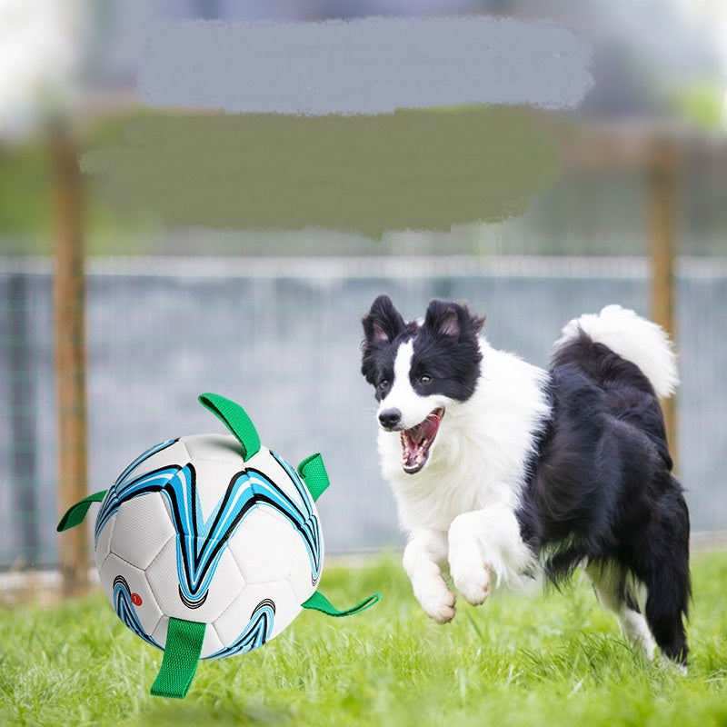 Pet Training Rope Football for Dogs