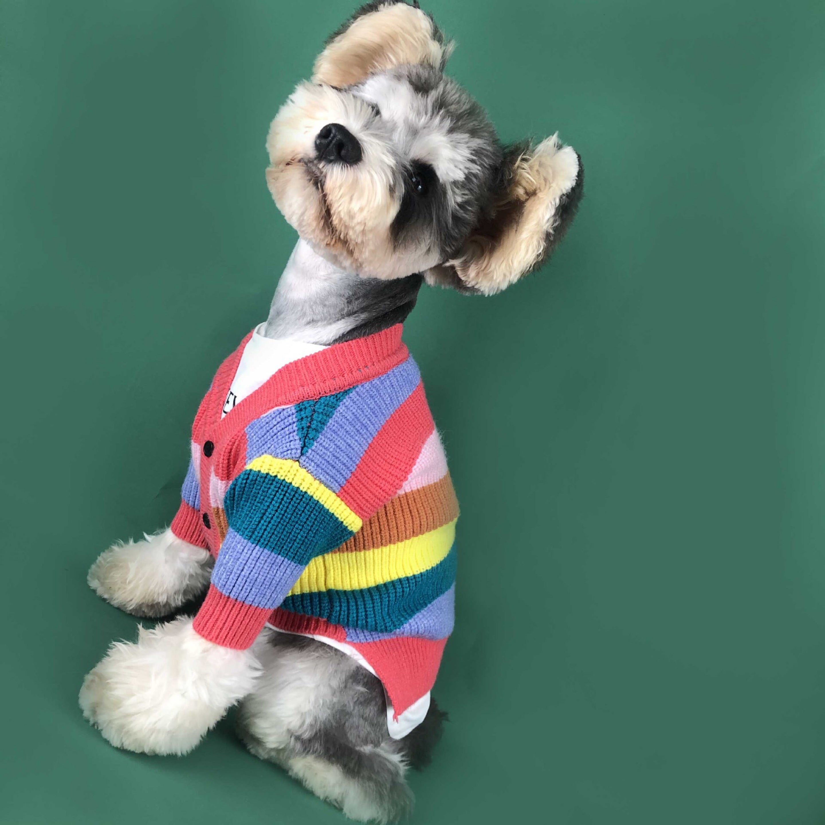 Rainbow Stripe Cardigan for Dogs (Dog Sweater)