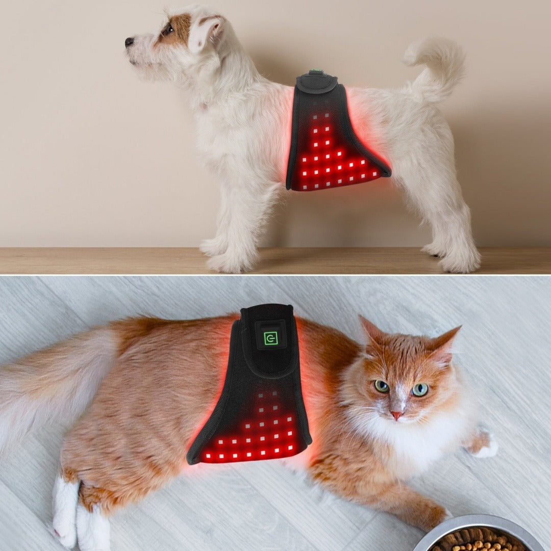 Pet Red Light Therapy Belt