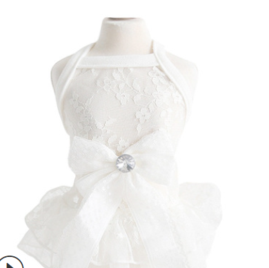 Lace Skirt Wedding Dress for Small Pets in Summer
