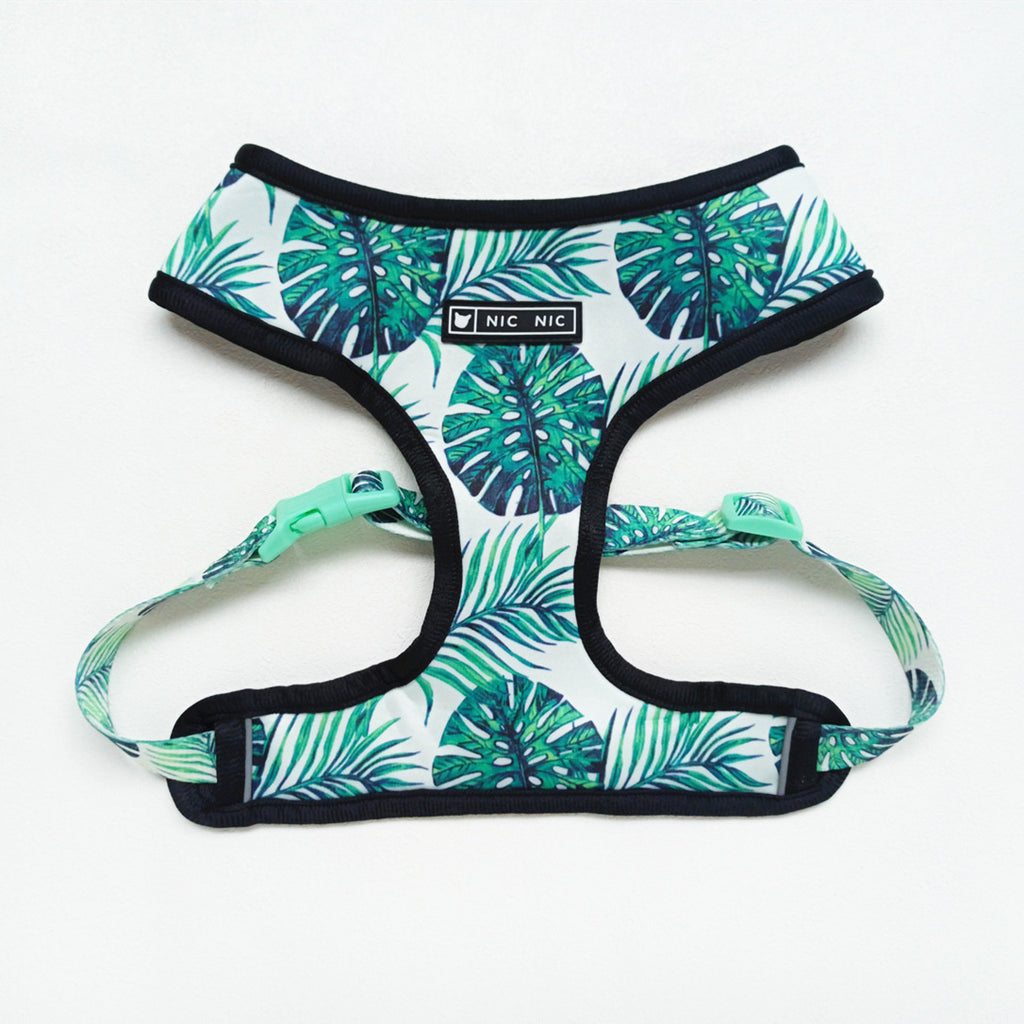 Breathable Mesh Leash and Harness for Small Dogs