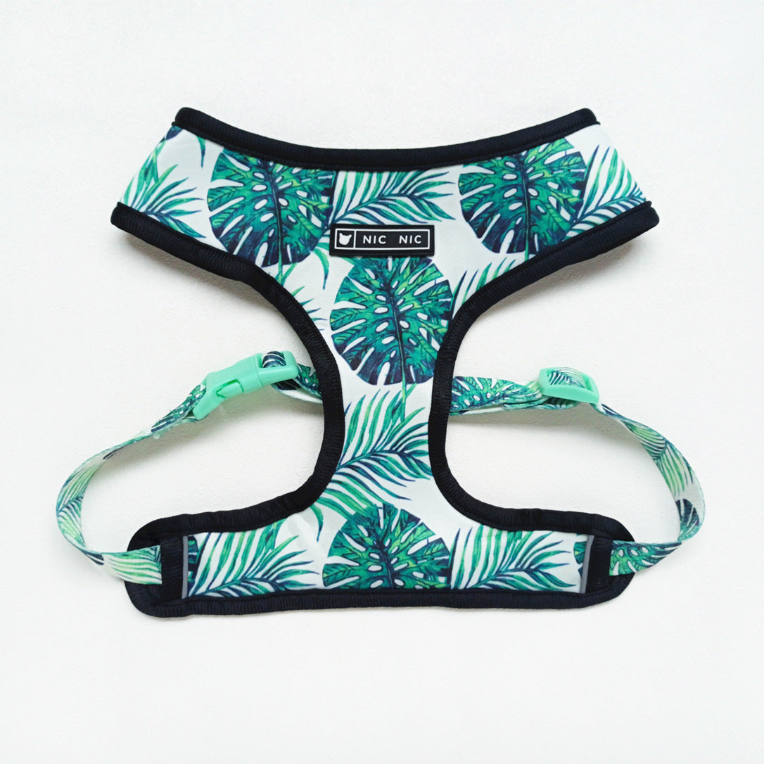 Breathable Mesh Leash and Harness for Small Dogs