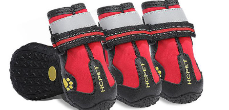 Pet Rain Shoes for Golden Retrievers