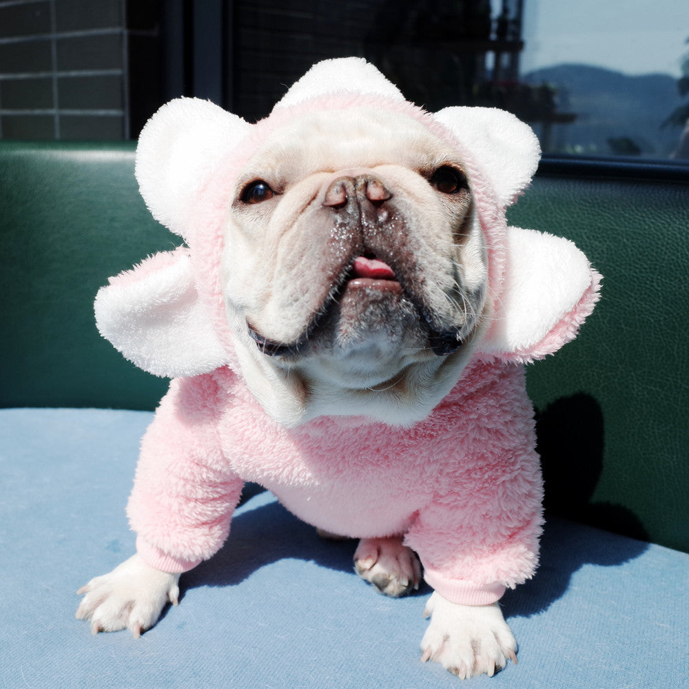 Dog Flower Fleece Sweater for French Bulldogs