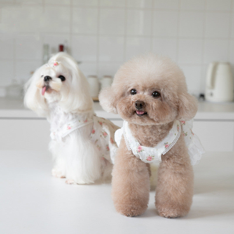 Lace Dog Skirt with Small Town Flower Print
